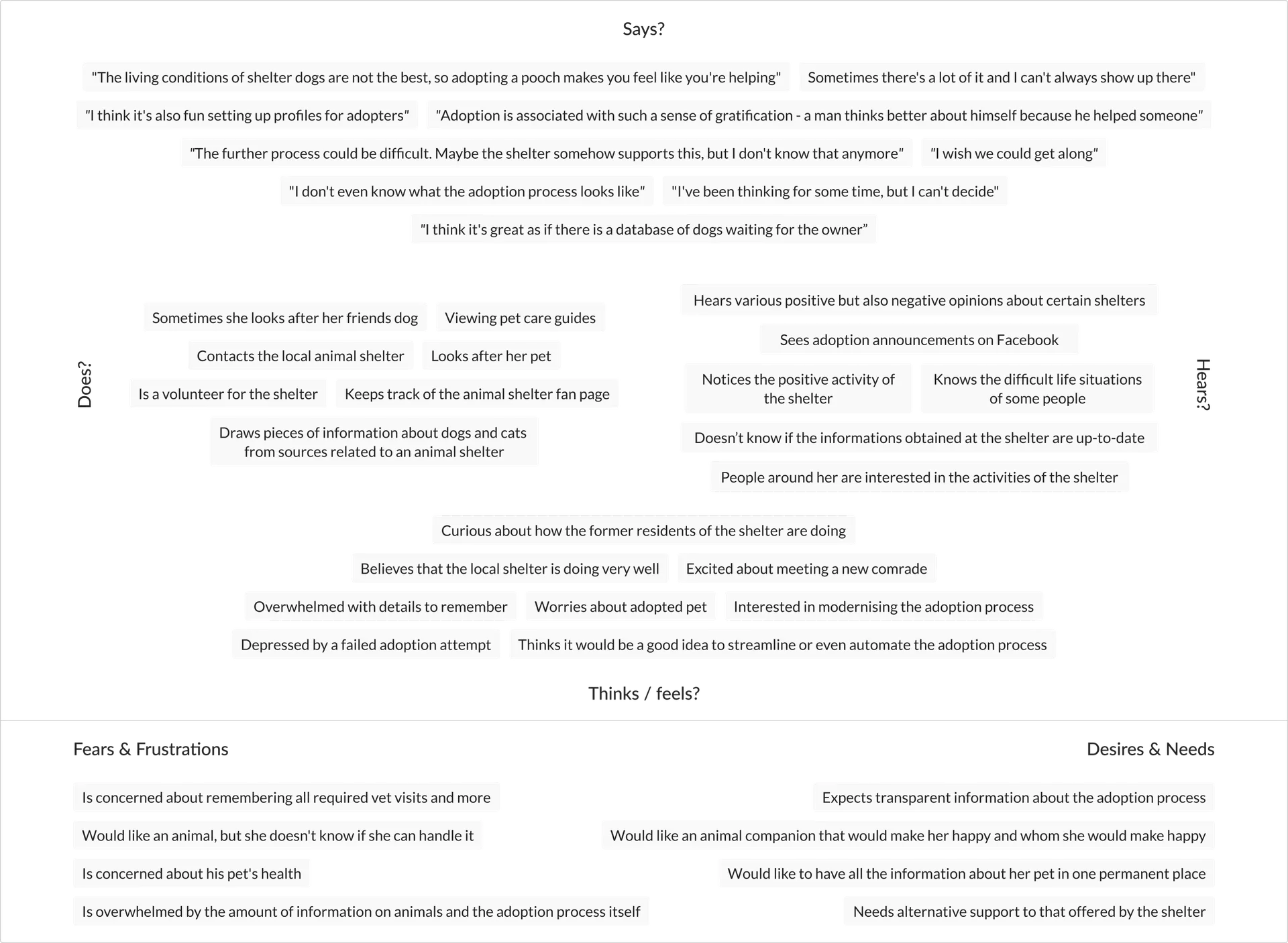 Interviews summary — Adopciak