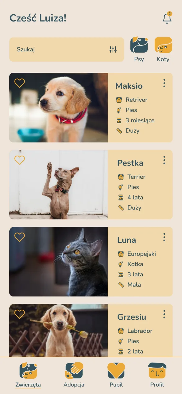 Adopciak — lista zwierząt